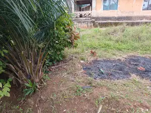 6 Plots of Land for Sale