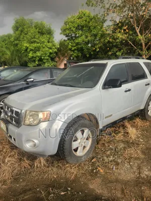 Ford Escape 2008 Silver