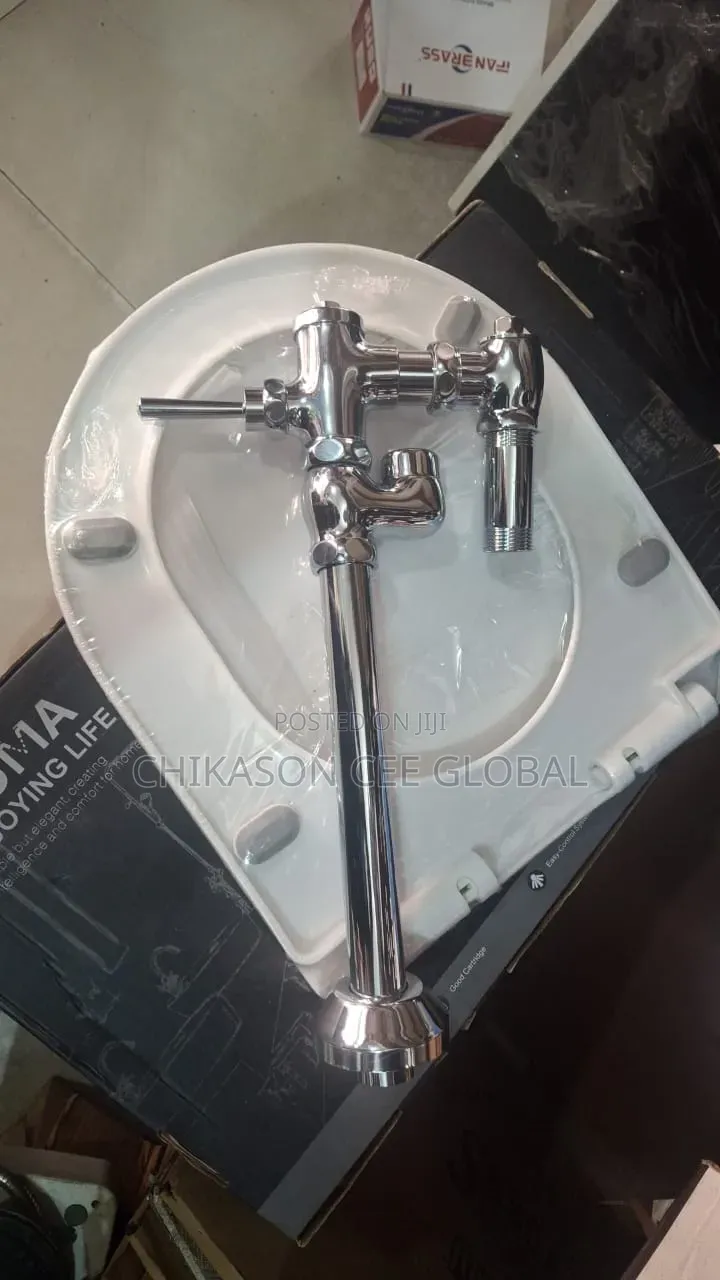 Chrome Flush Valve
