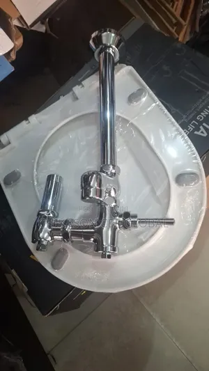 Chrome Flush Valve