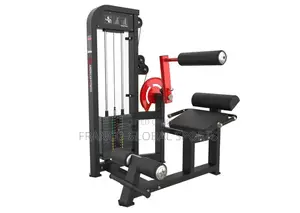 Seated Leg Curls & Leg Extensions Machine