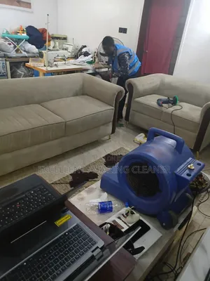 Professional Sofa Cleaning