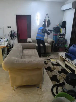 Professional Sofa Cleaning