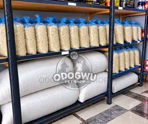 Dog Indomie