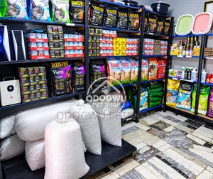 Dog Indomie