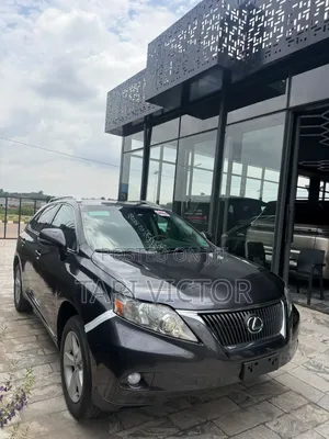 Lexus RX 350 2010 Brown