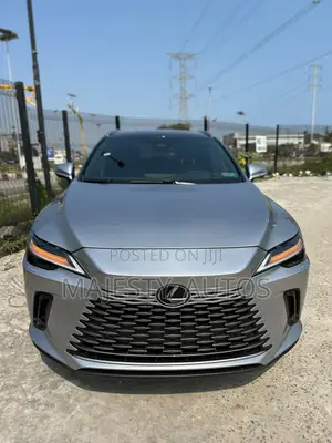 Lexus RX 2024 Gray