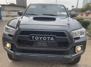 Toyota Tacoma 2019 Gray