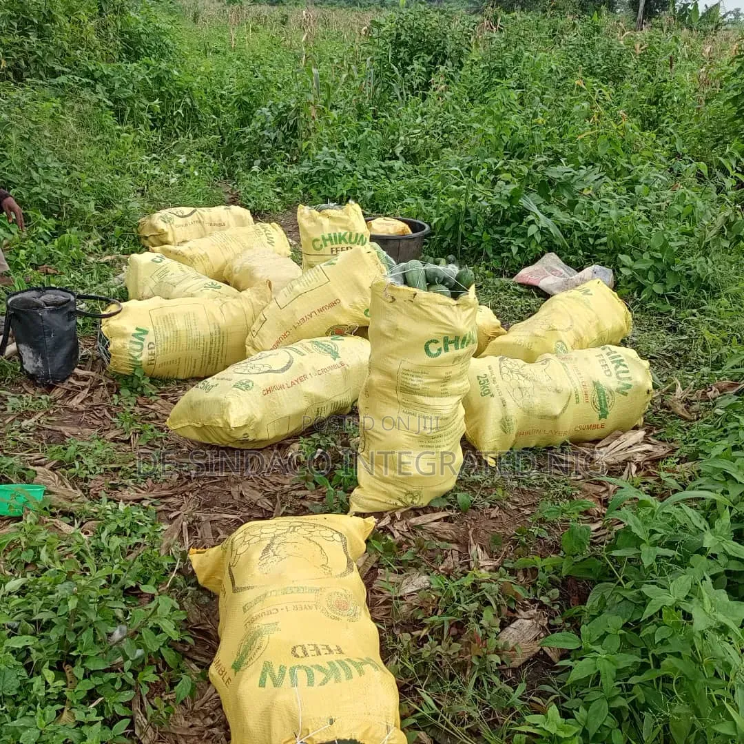 Friuts&vegetables for Sale Direct From Our Farm