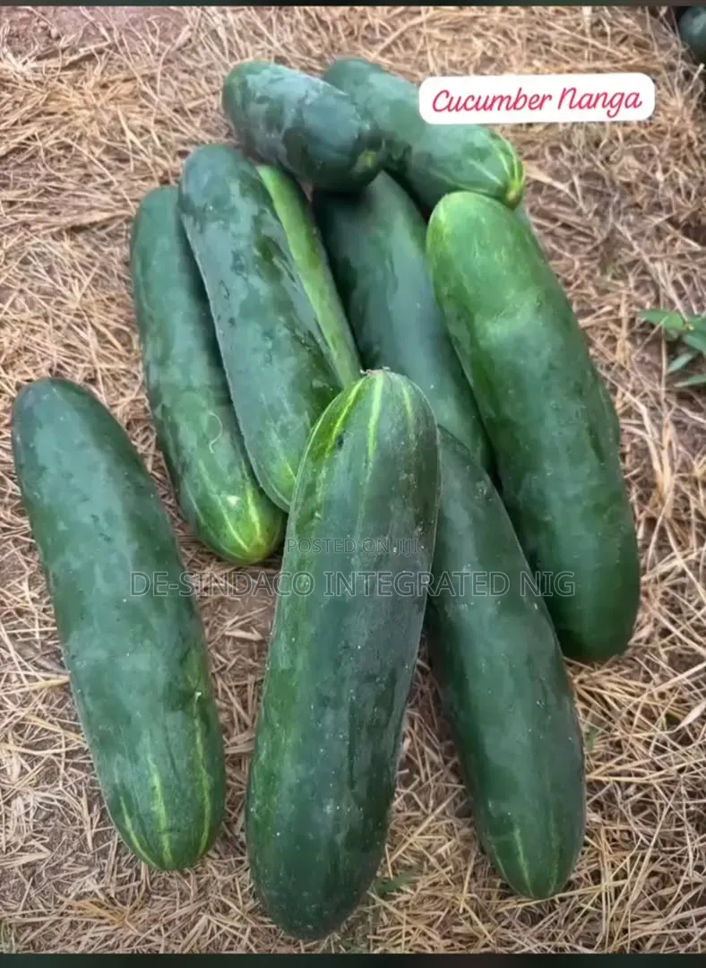 Friuts&vegetables for Sale Direct From Our Farm