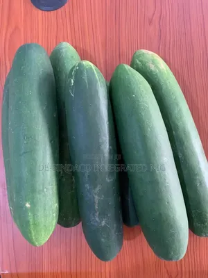 Friuts&vegetables for Sale Direct From Our Farm