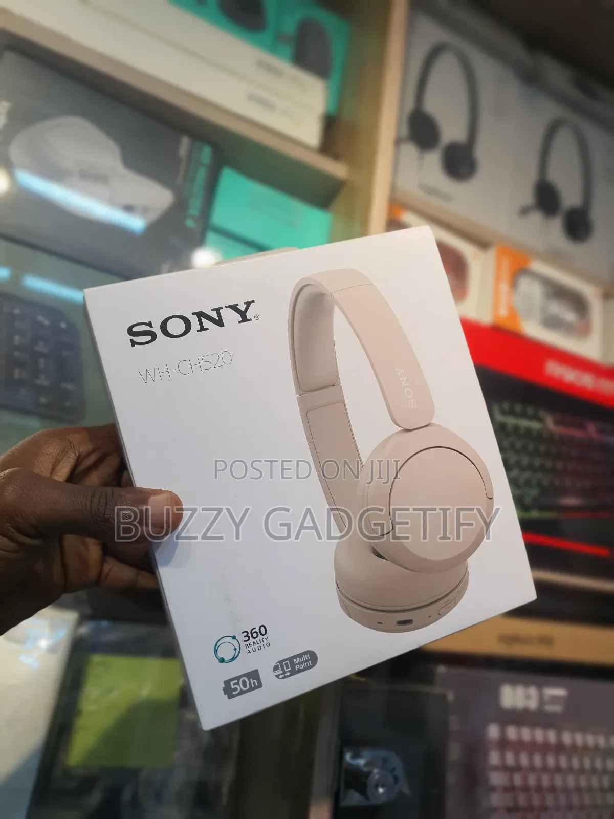 Sony Wh-Ch520