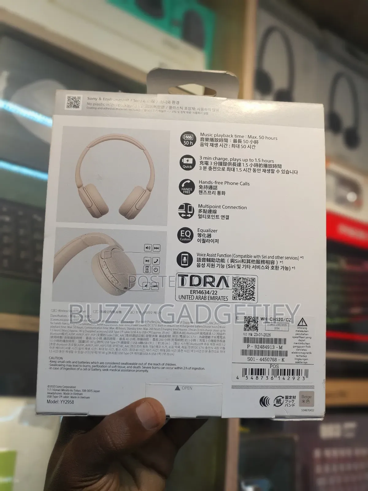 Sony Wh-Ch520