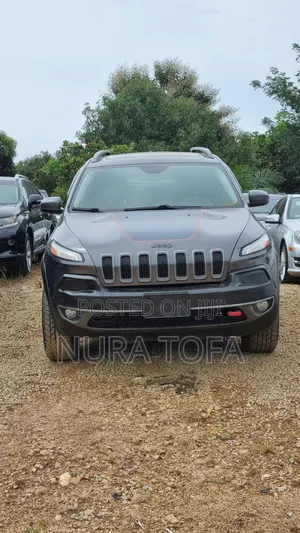 Jeep Cherokee Trailhawk 4x4 2017 Gray
