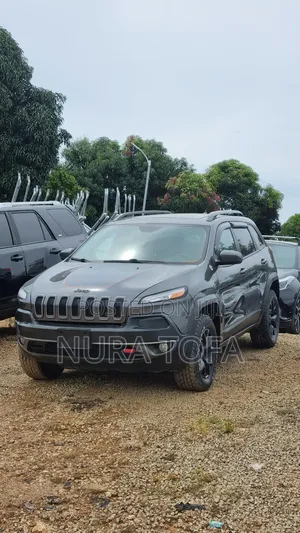 Jeep Cherokee Trailhawk 4x4 2017 Gray