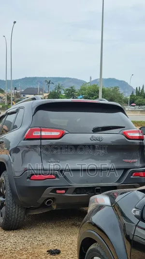 Jeep Cherokee Trailhawk 4x4 2017 Gray