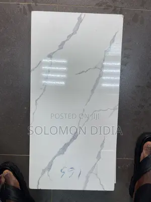 This Are 30/60 Time Ceramic & Royal Castle for Kitchen & Toilet Wall