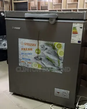 Snowsea Chest Freezer (Inverter)