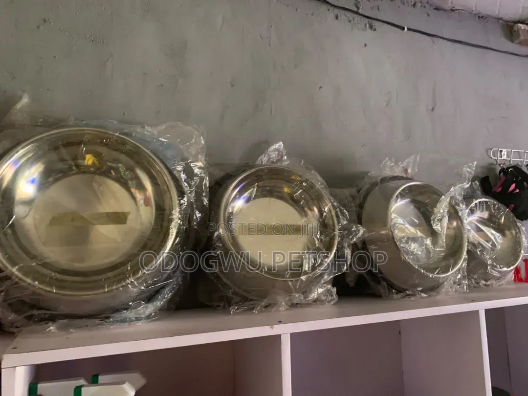 Dog and Cat Plates