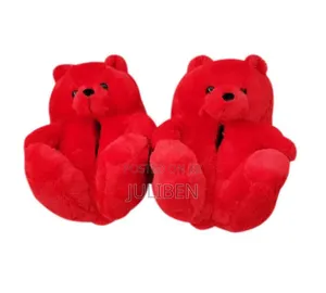 Indoor Teddy Bear Shoe