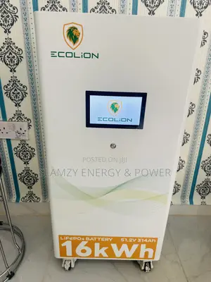 Eco Lion 16kwh Lithium Battery 51.2v 314ah