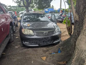 Toyota Vios 2006 Gray