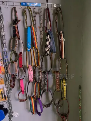Collar Belts