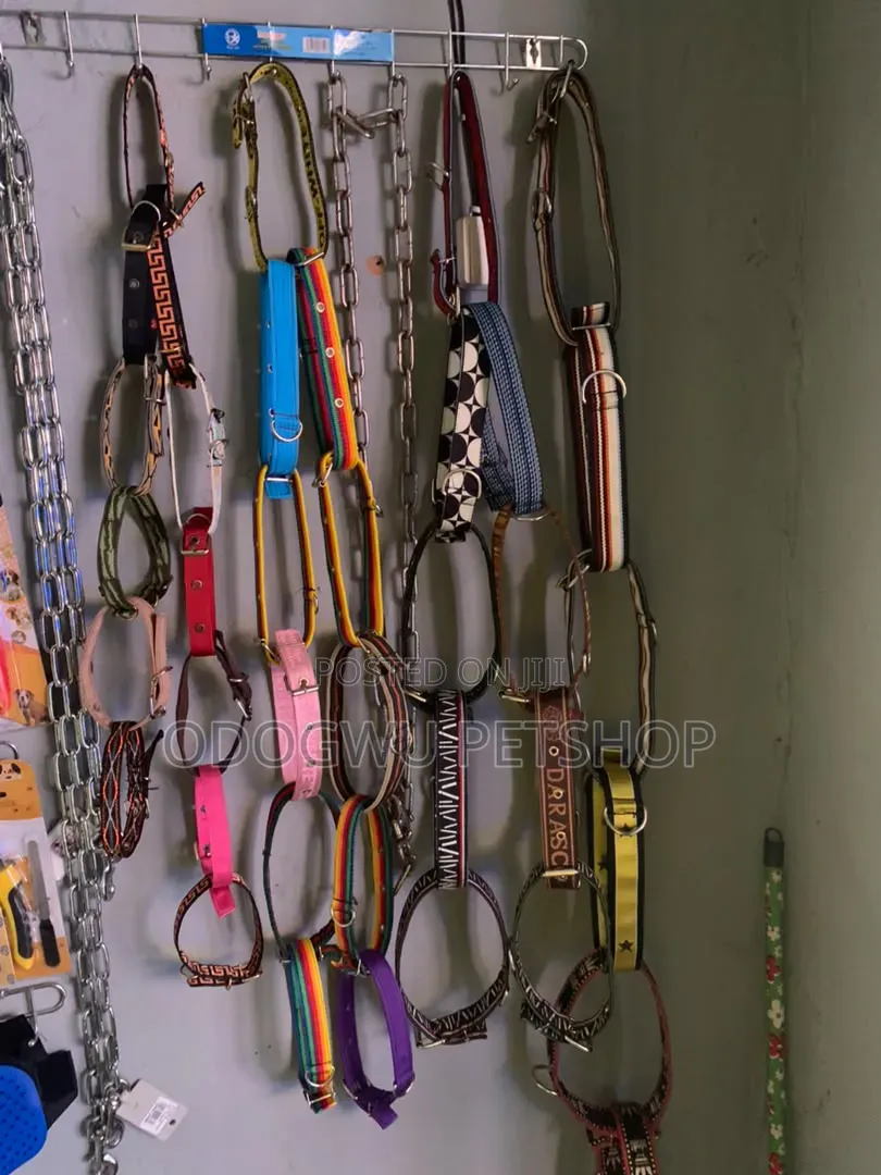 Collar Belts