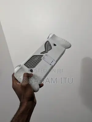 Xbox Ally 2025
