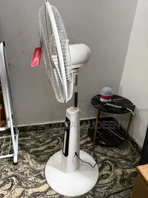 Rechargeable Standing Fan