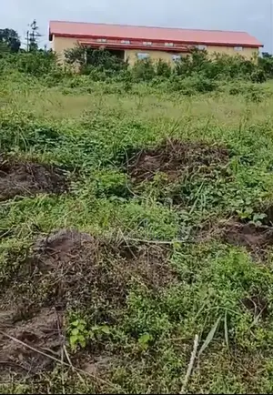 100 by 100 Table Land Opposite Admiral University 4 Mins to Asaba