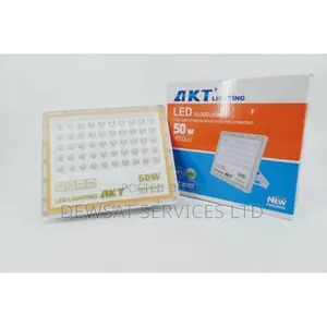 Akt Lighting 50w Led Floodlight