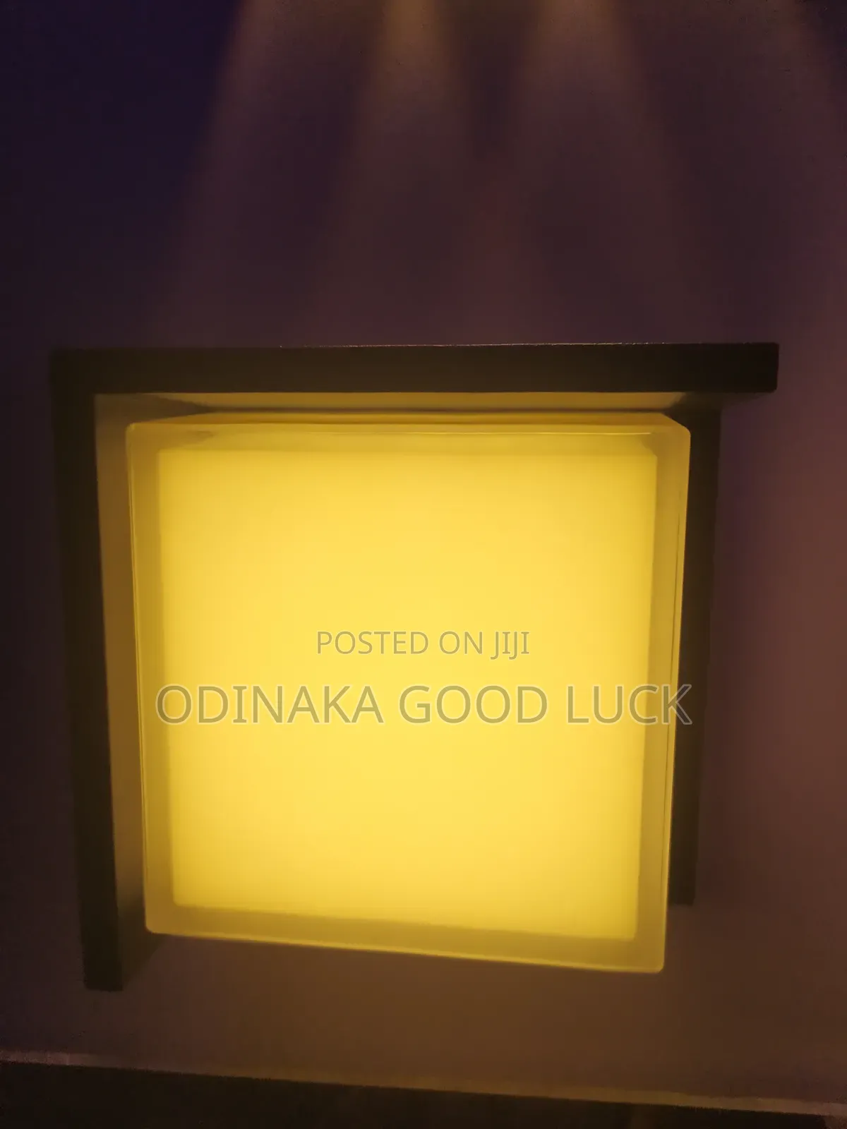 Security Light