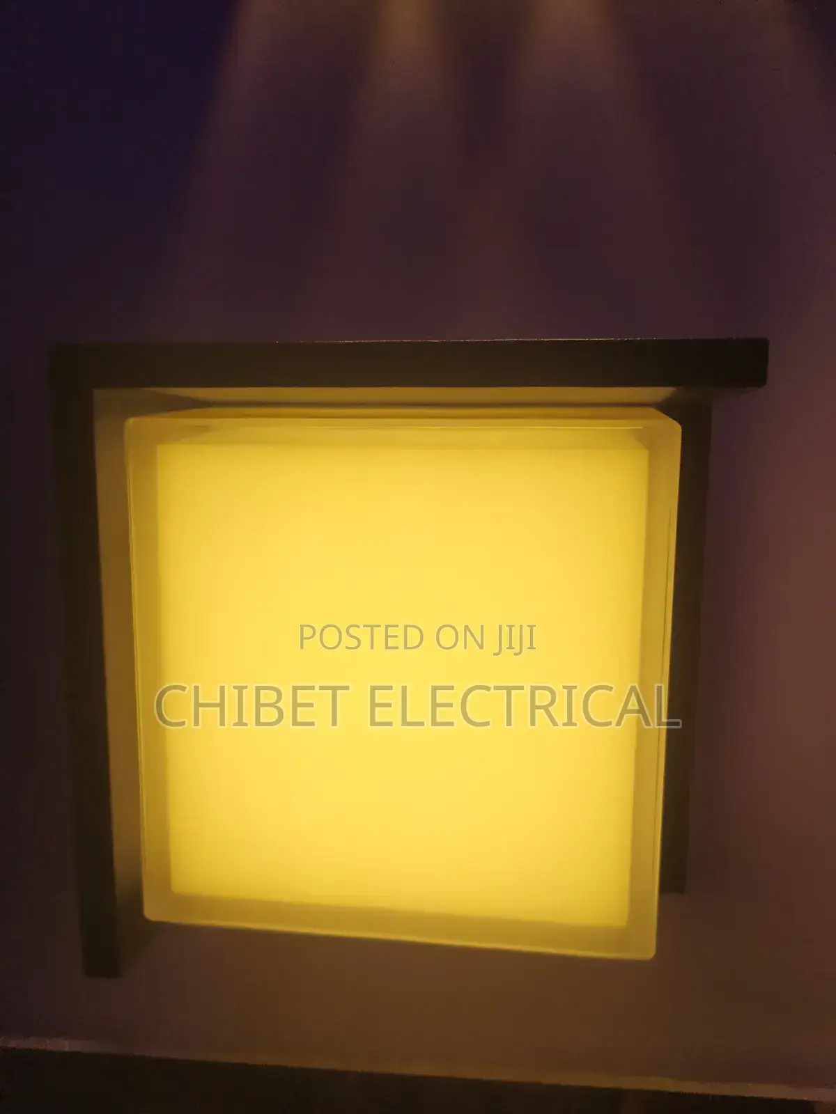 Security Light