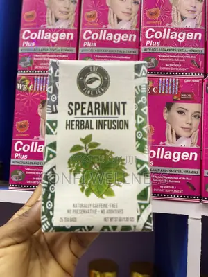 Spearmint Herbal Infusion