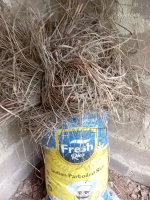 A Dry Lemongrass Clean and Fragnant,sandfree,20 Kg,