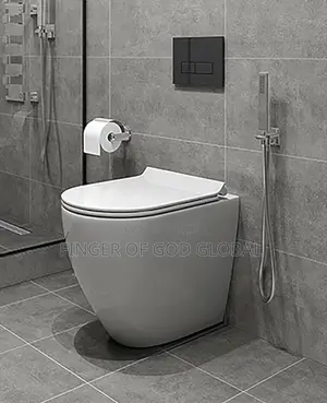 Modern One-Piece Toilet With Bidet Spray