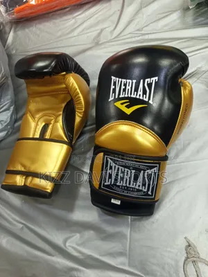 Everlast Boxing Gloves Very Good Quality