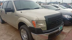 Ford F-150 2009 Gray