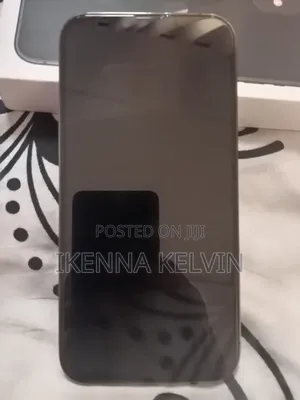 Apple iPhone 13 Pro Max 256 GB Gray