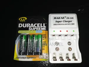 Battery Charger With Rechargeable Battery