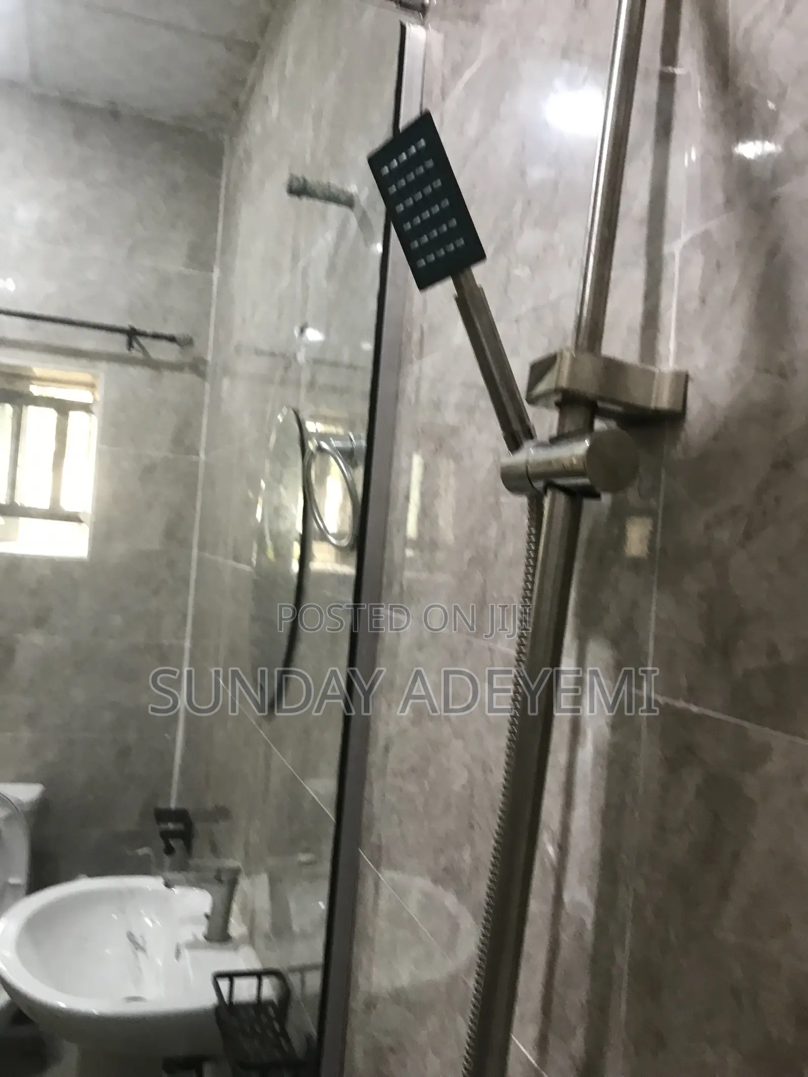 Professional Plumber
