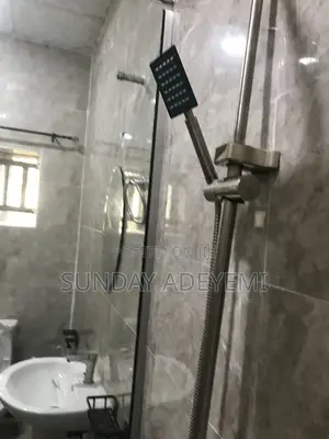 Professional Plumber