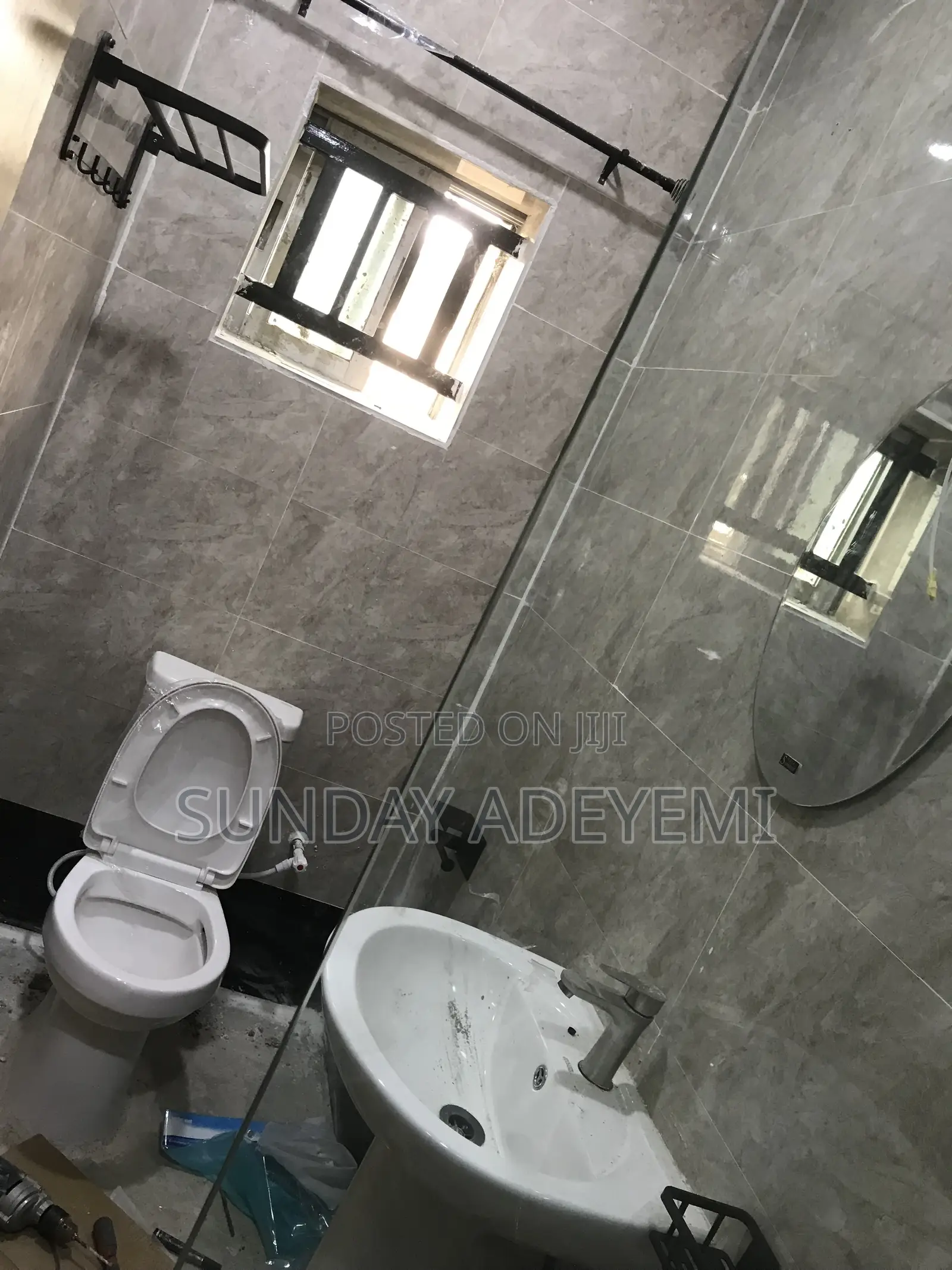 Professional Plumber