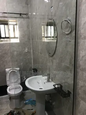 Professional Plumber