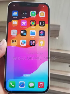 Apple iPhone 12 Pro Max 256 GB Silver