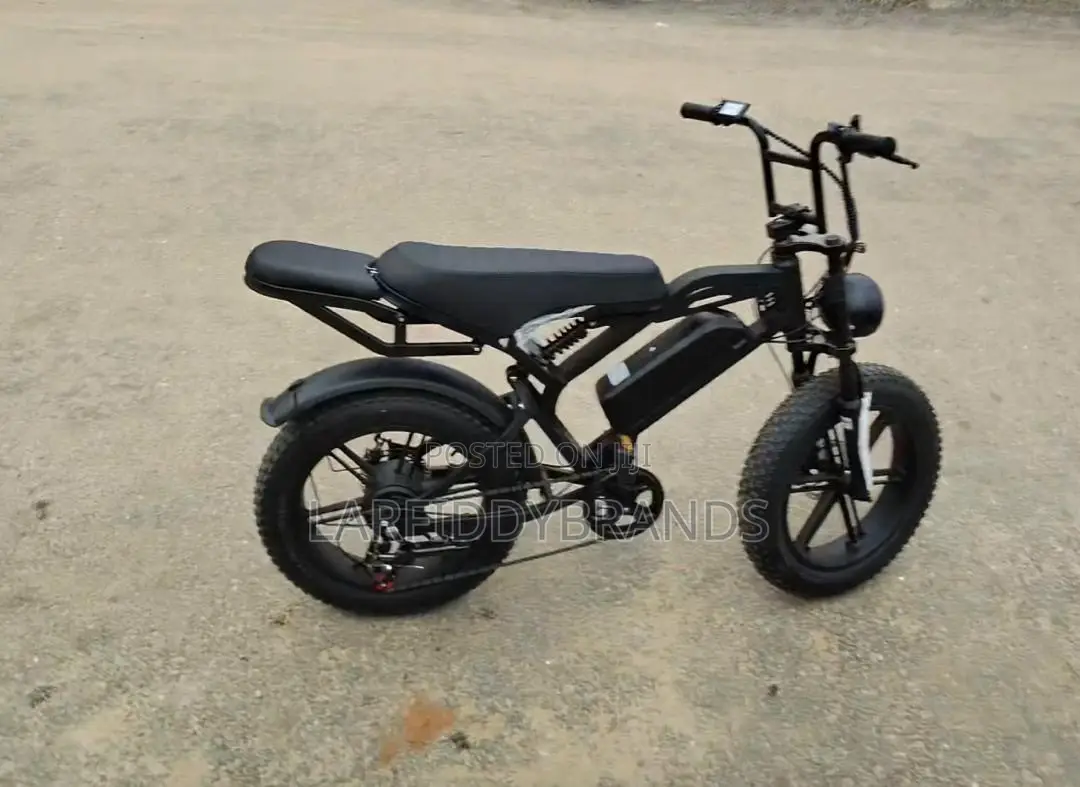 Electric Bike