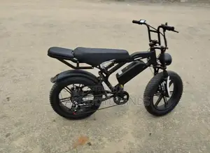 Electric Bike