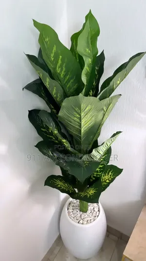Flower and Flower Pot