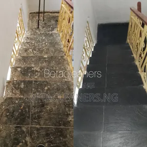 Cleaning Services